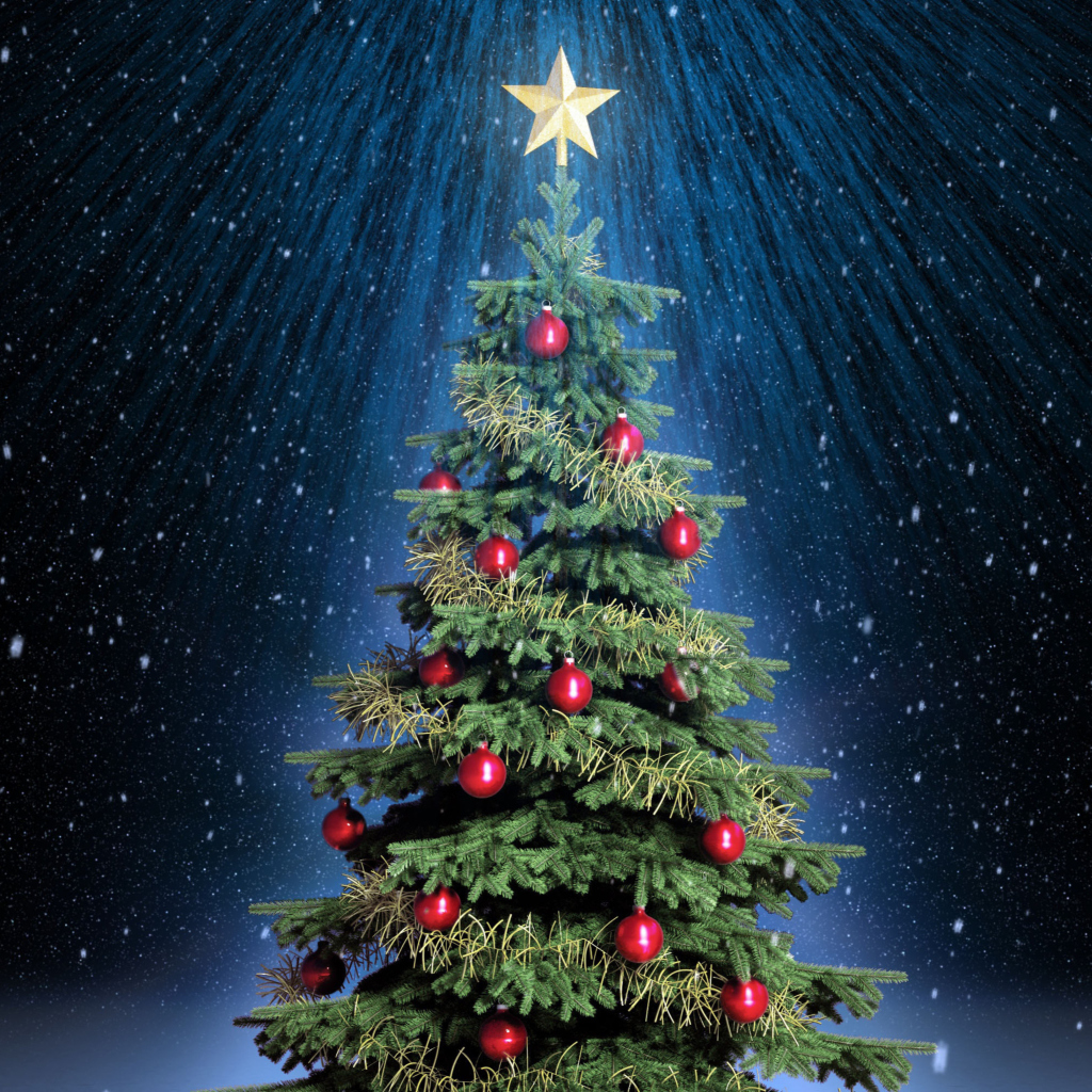 Fondo de pantalla Classic Christmas Tree With Star On Top 1024x1024