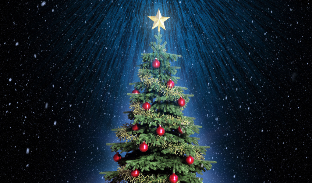 Sfondi Classic Christmas Tree With Star On Top 1024x600