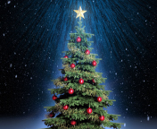 Sfondi Classic Christmas Tree With Star On Top 176x144