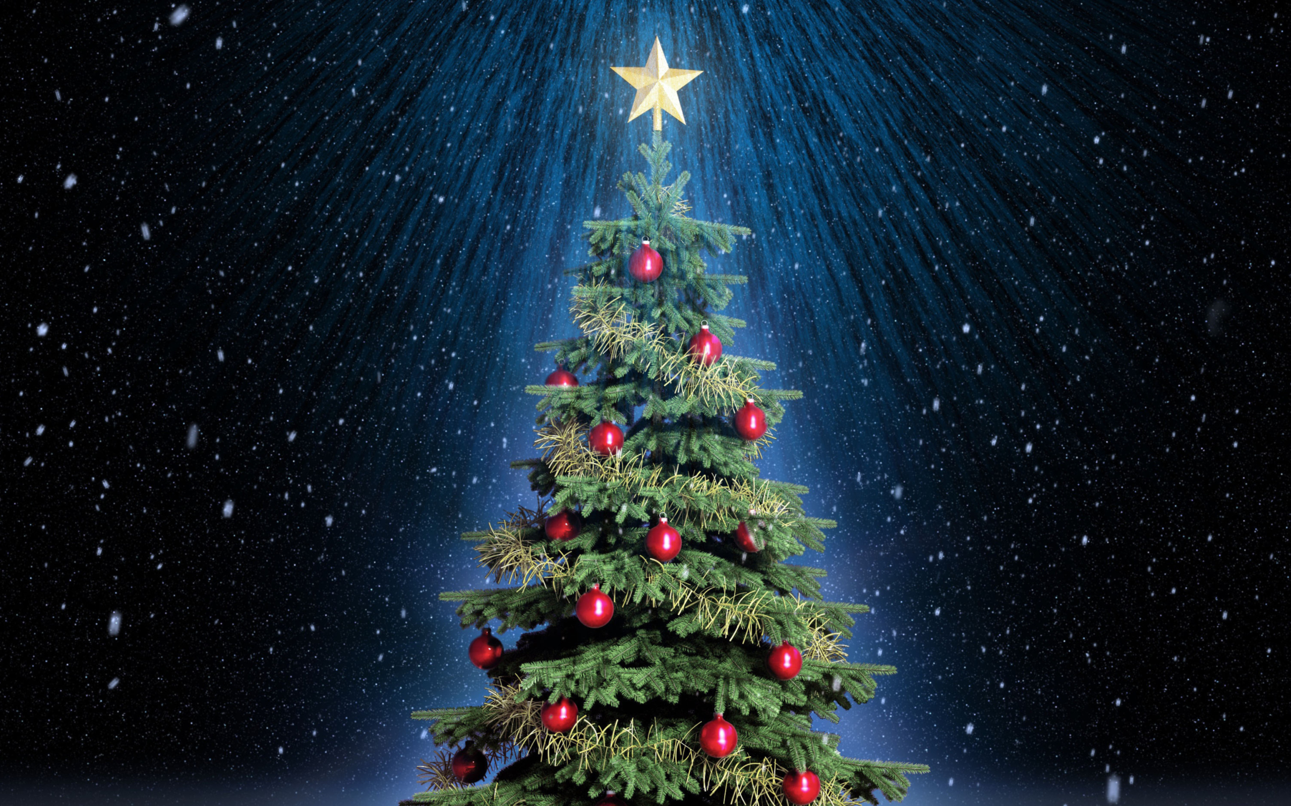 Fondo de pantalla Classic Christmas Tree With Star On Top 2560x1600
