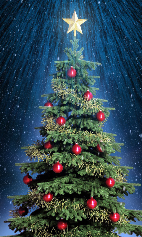 Das Classic Christmas Tree With Star On Top Wallpaper 480x800