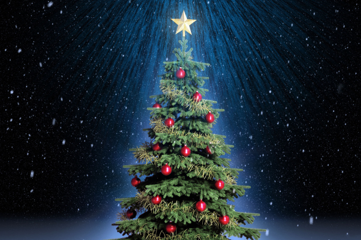 Обои Classic Christmas Tree With Star On Top