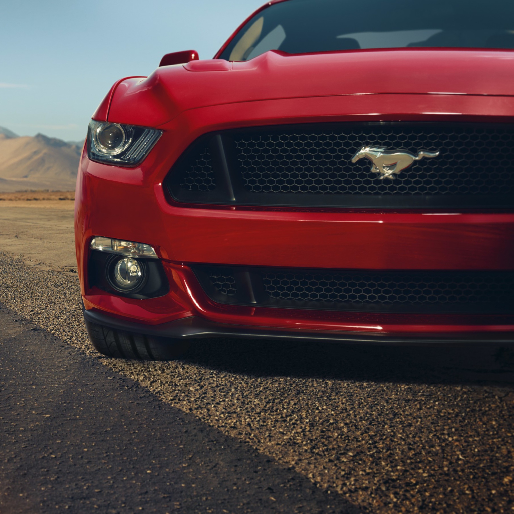 Screenshot №1 pro téma Ford Mustang GT 2048x2048