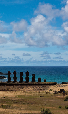 Das Easter Island Statues Wallpaper 240x400