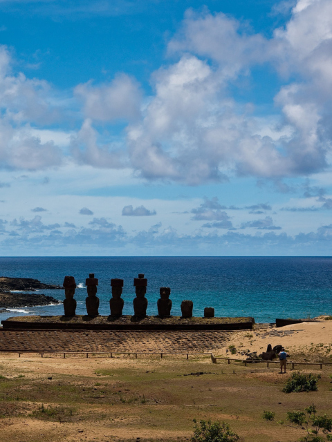 Das Easter Island Statues Wallpaper 480x640