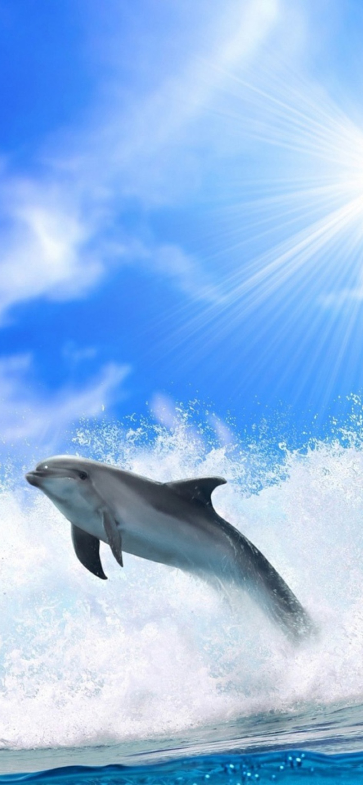Das Dolphin Wallpaper 1170x2532