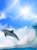 Dolphin screenshot #1 132x176