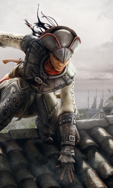 Screenshot №1 pro téma Assassins Creed 480x800