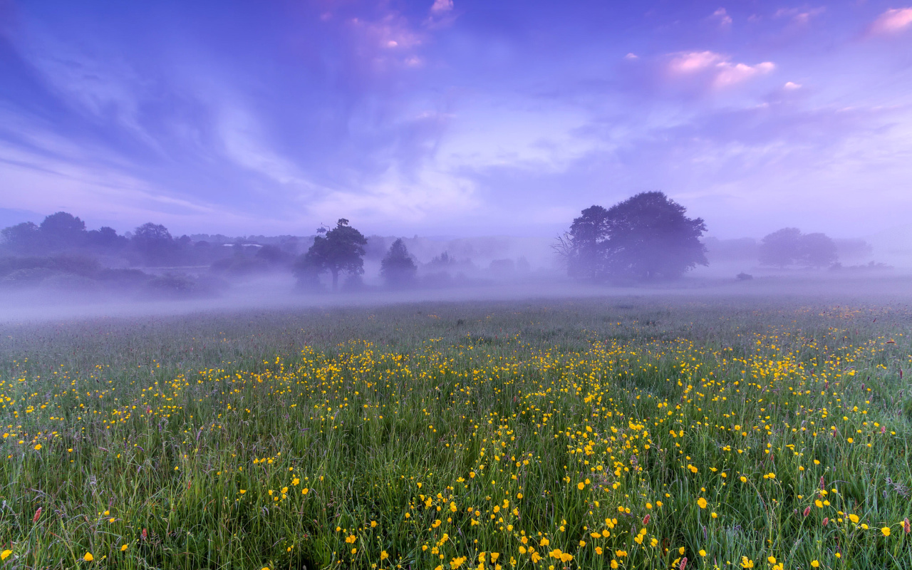 England Glade screenshot #1 1280x800