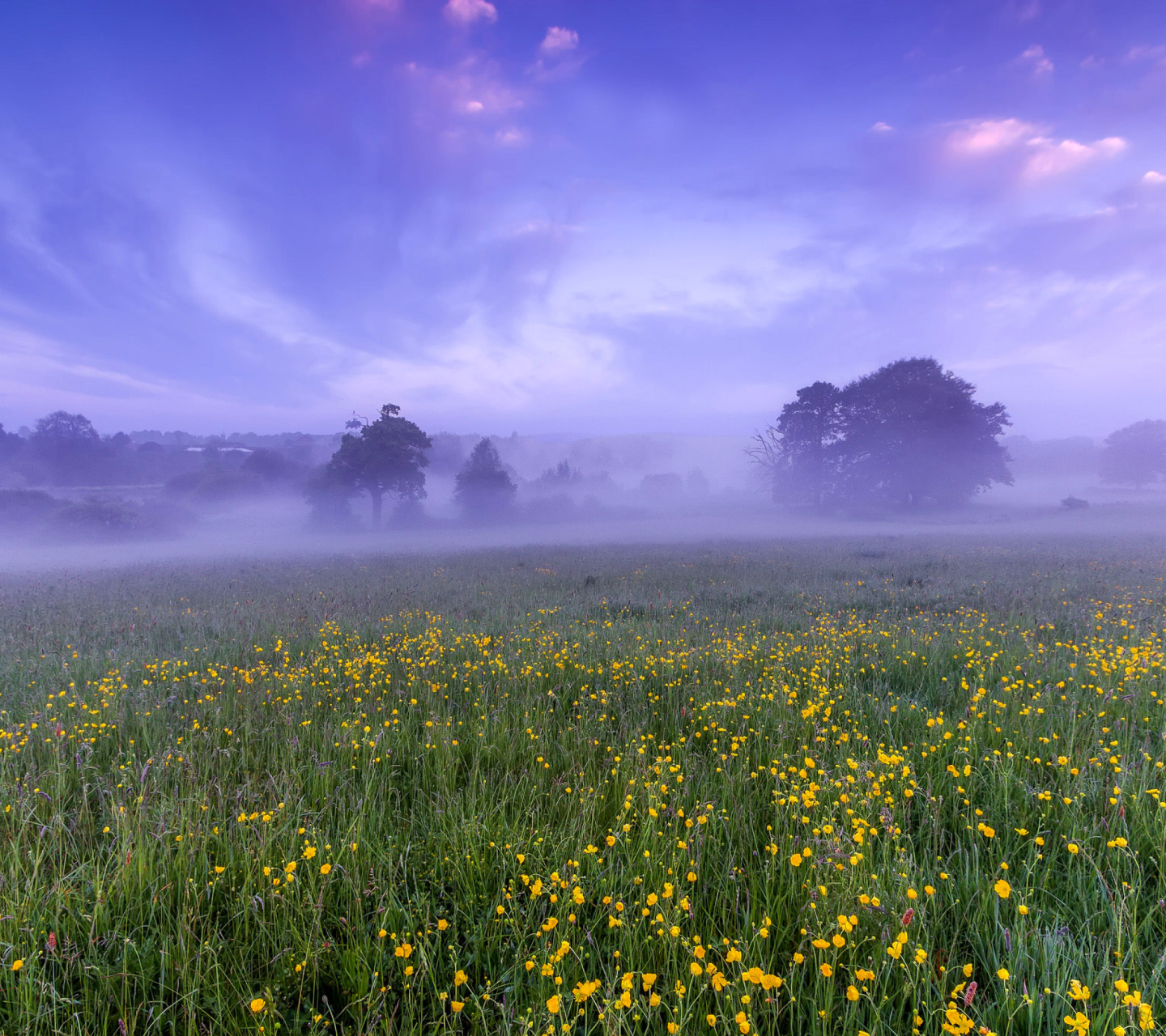 England Glade screenshot #1 1440x1280