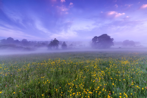 England Glade screenshot #1 480x320