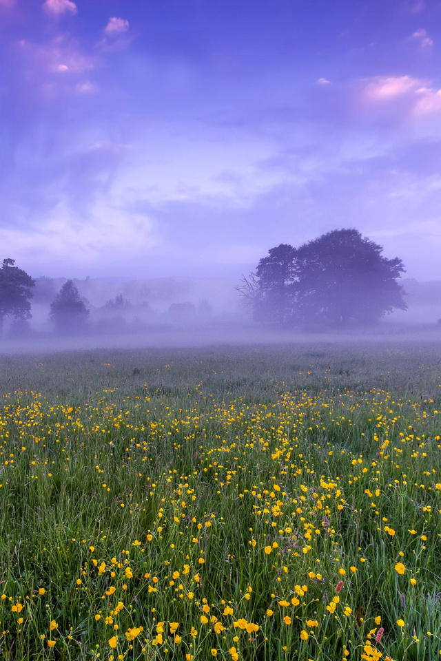 England Glade screenshot #1 640x960