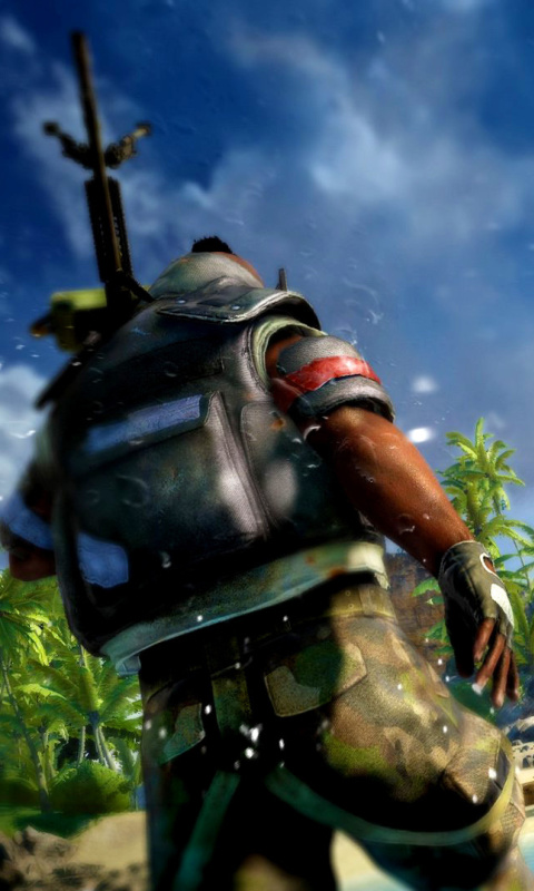 Das Far Cry 3 Wallpaper 480x800