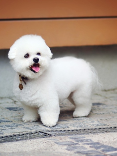 White Plush Puppy screenshot #1 240x320