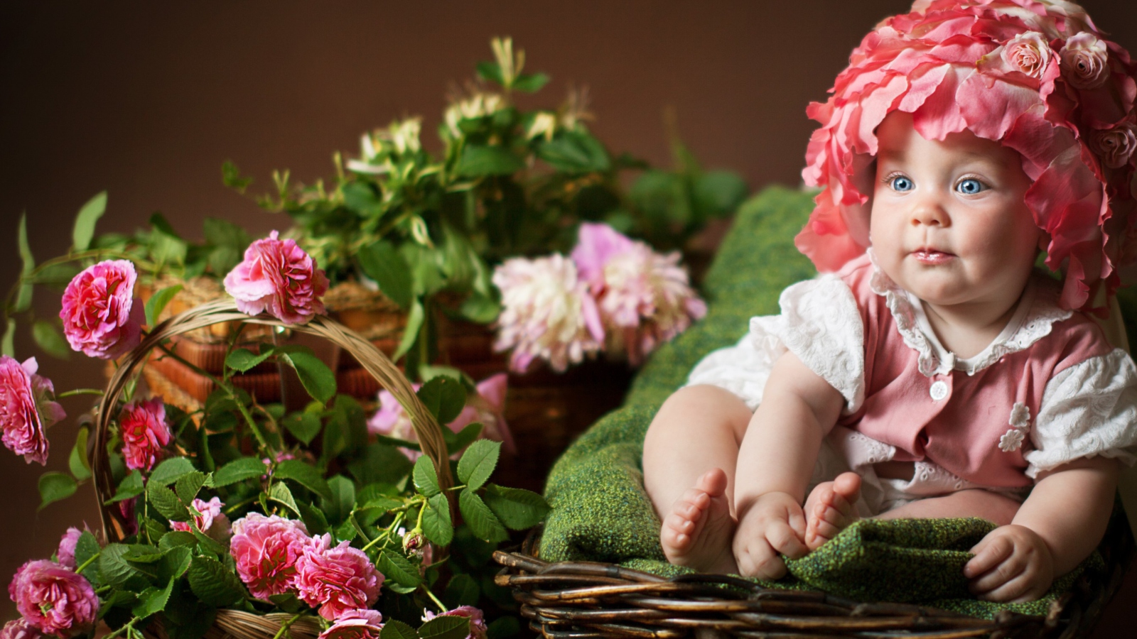 Cute Baby With Blue Eyes And Roses wallpaper 1600x900