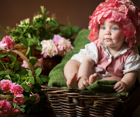 Cute Baby With Blue Eyes And Roses wallpaper 480x400