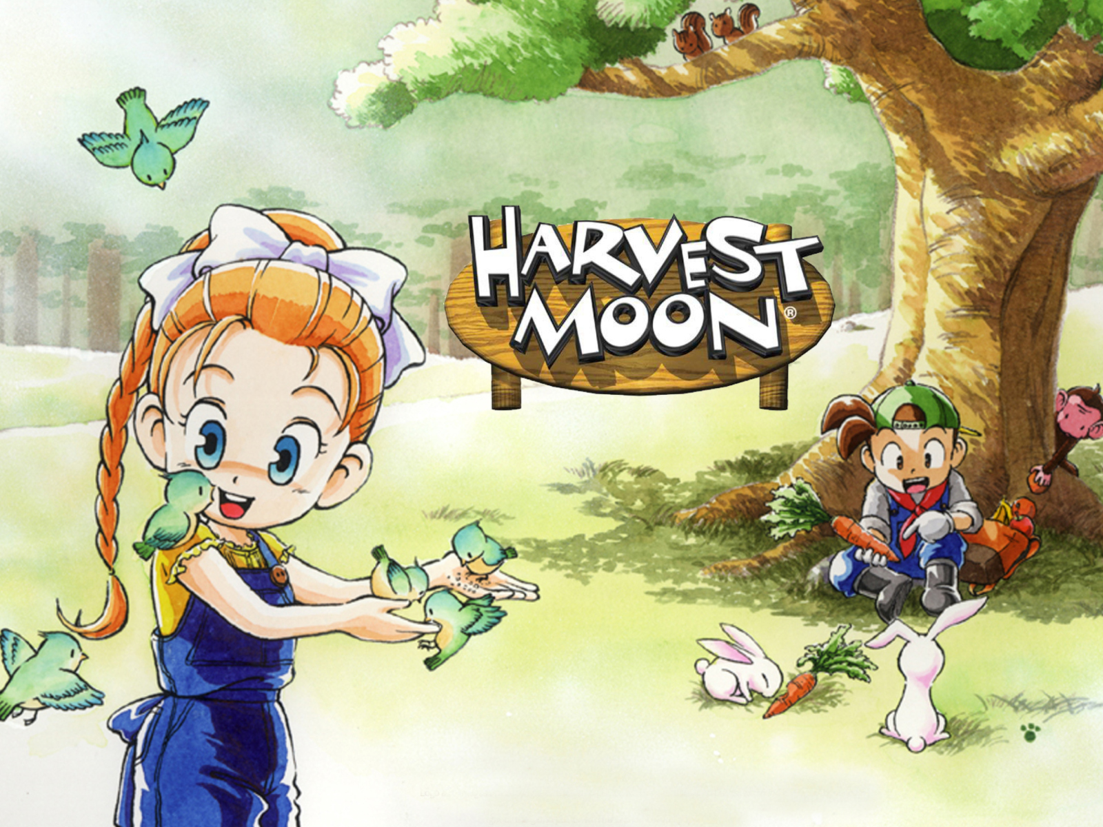 Sfondi Harvest Moon Friends 1600x1200