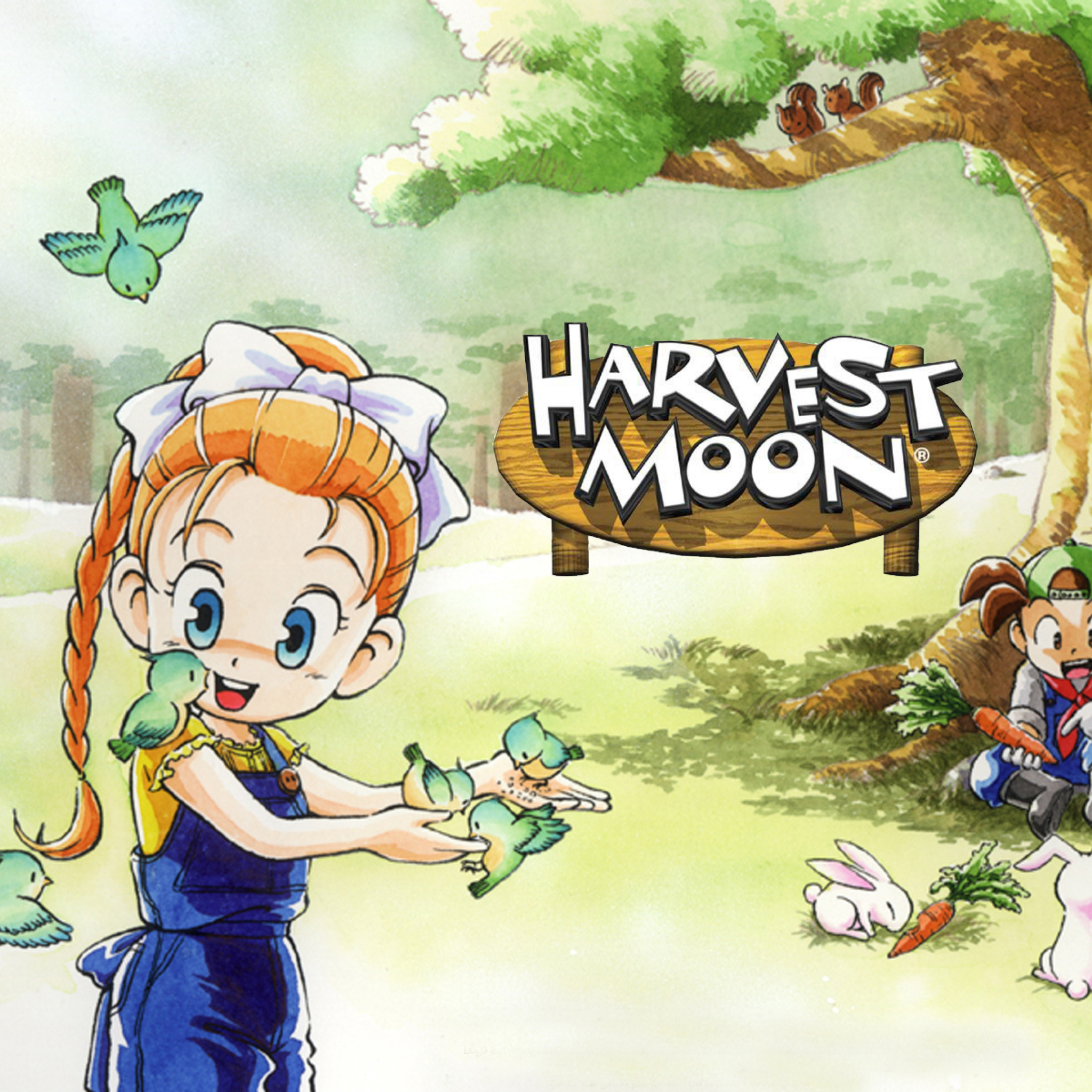 Harvest Moon Friends wallpaper 2048x2048