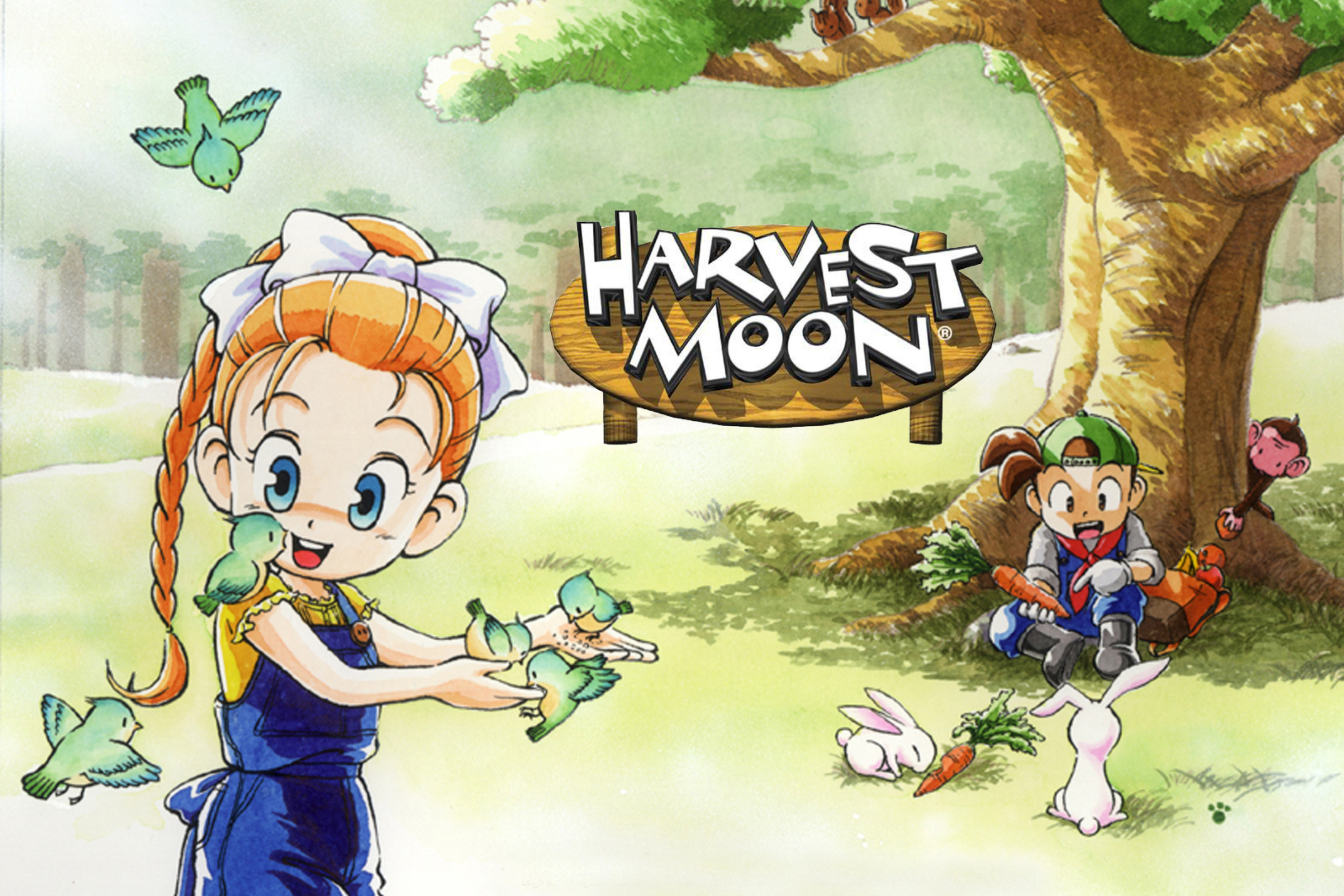 Screenshot №1 pro téma Harvest Moon Friends 2880x1920