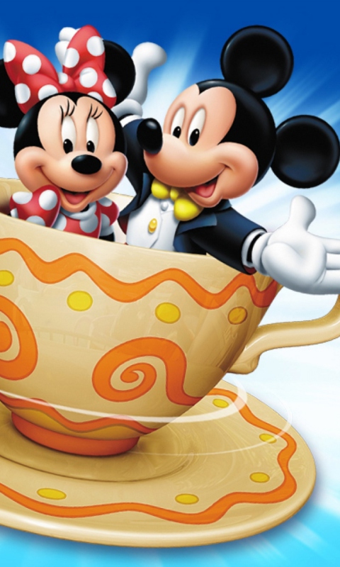Das Mickey And Minnie Mouse In Cup Wallpaper 480x800
