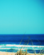 Sfondi Summer By The Sea 176x220