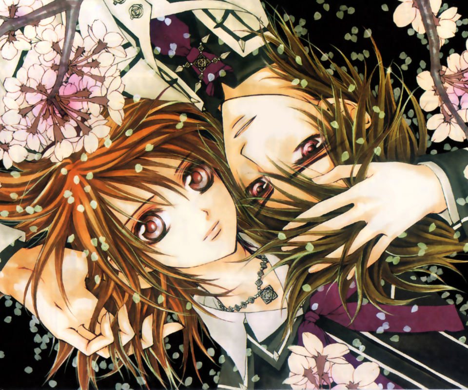 Fondo de pantalla Vampire Knight 960x800