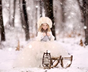 Sfondi Snow Princess 176x144