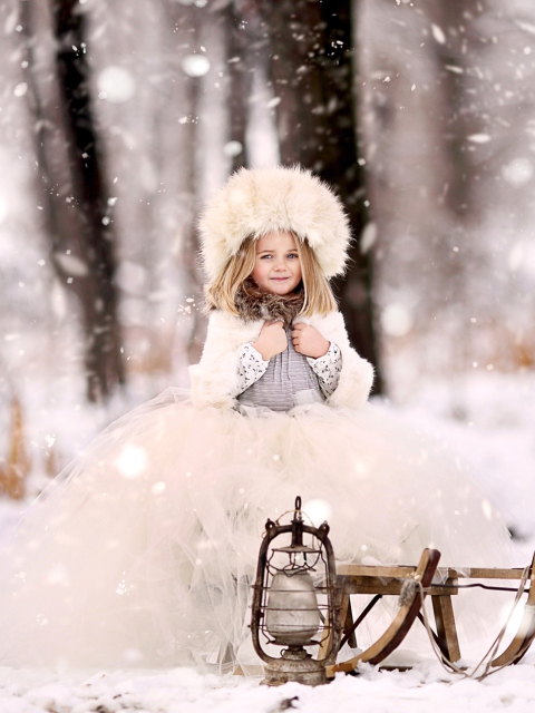 Snow Princess screenshot #1 480x640