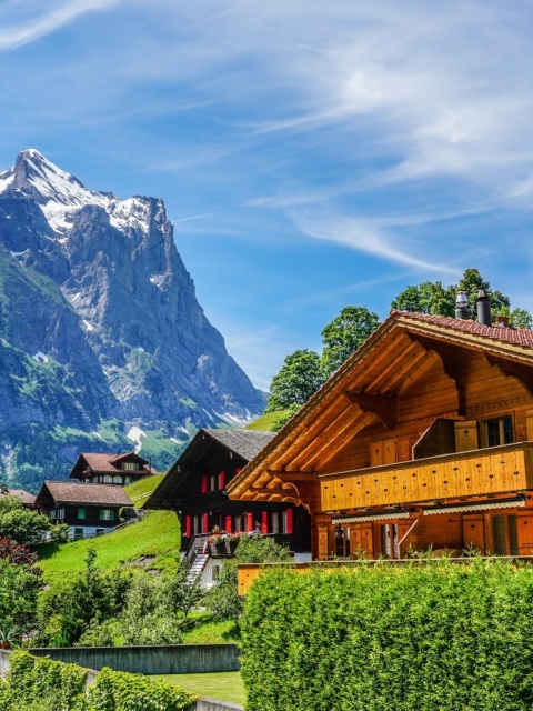 Das Mountains landscape in Slovenia with Chalet Wallpaper 480x640