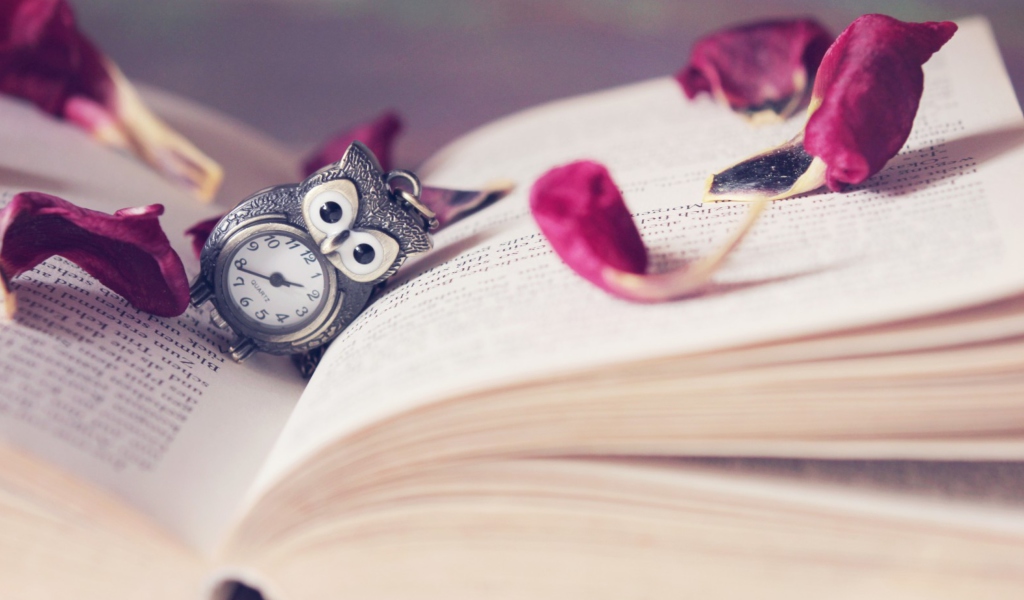 Screenshot №1 pro téma Vintage Owl Watch And Book 1024x600