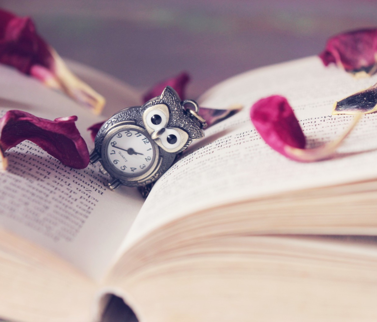 Das Vintage Owl Watch And Book Wallpaper 1200x1024
