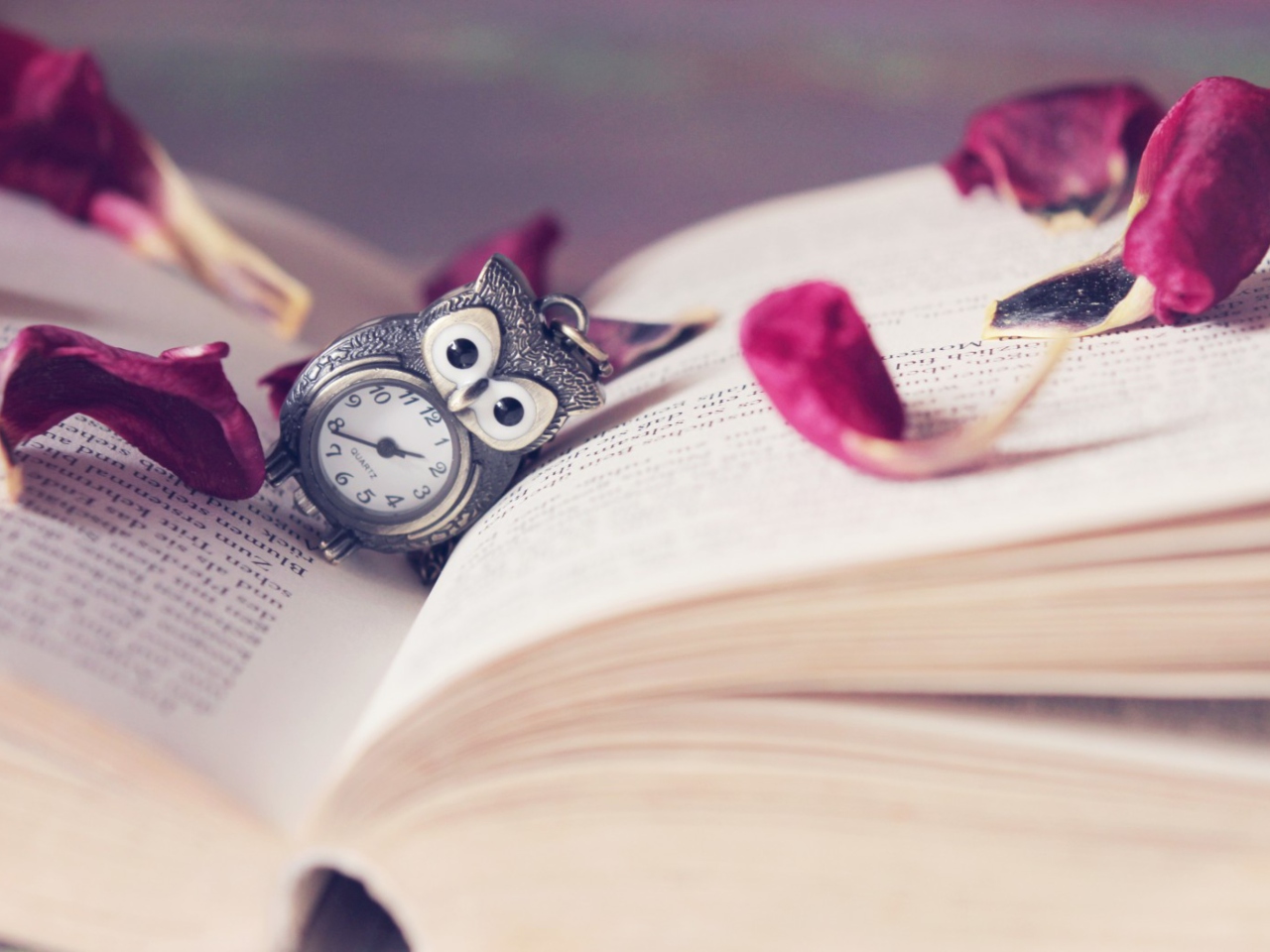 Das Vintage Owl Watch And Book Wallpaper 1280x960