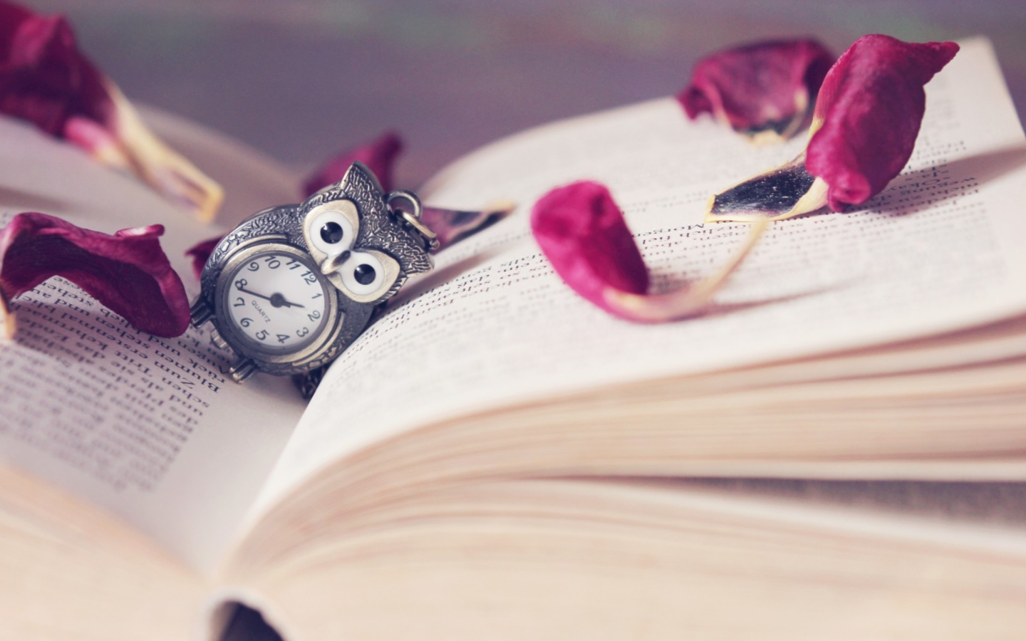 Vintage Owl Watch And Book wallpaper 1440x900