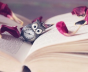 Fondo de pantalla Vintage Owl Watch And Book 176x144