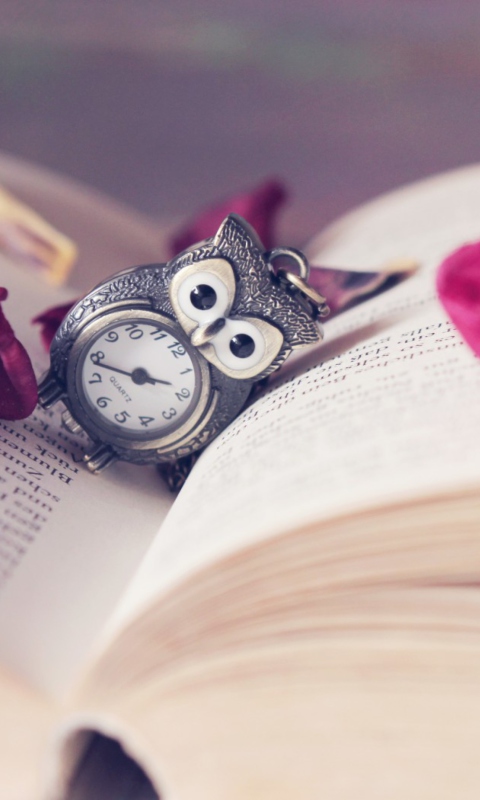 Vintage Owl Watch And Book wallpaper 480x800