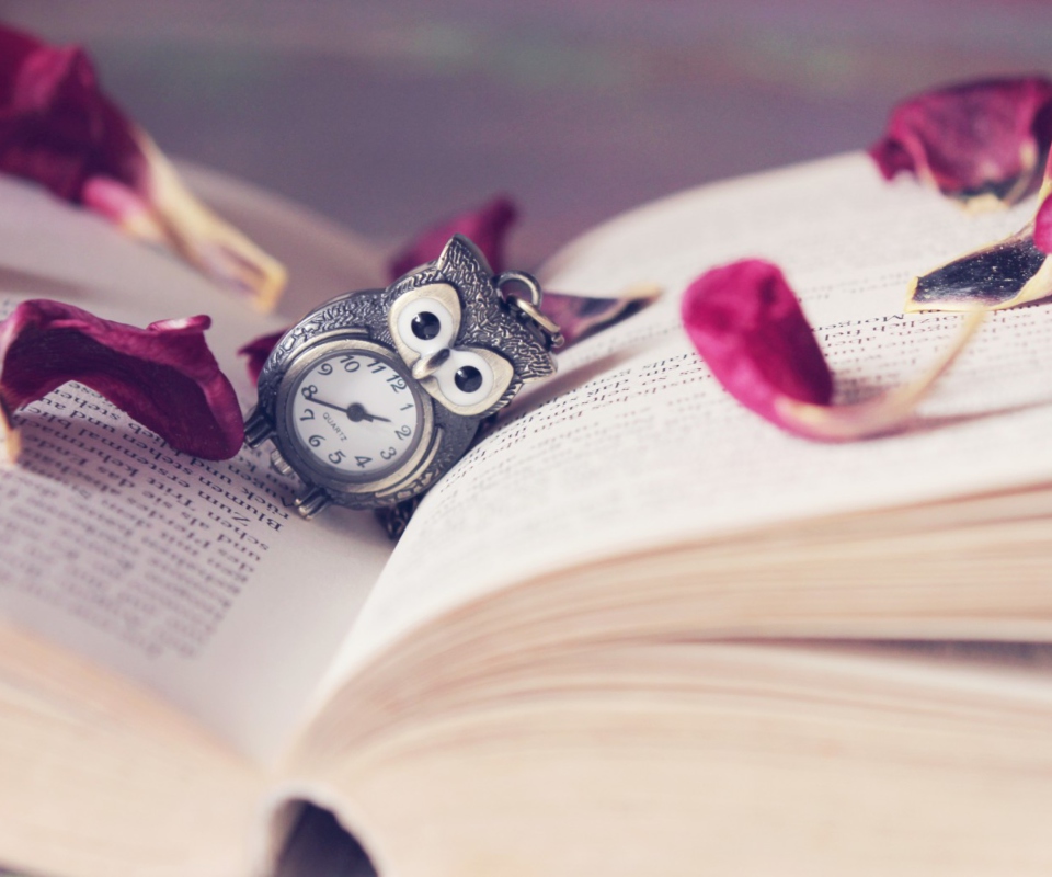 Das Vintage Owl Watch And Book Wallpaper 960x800