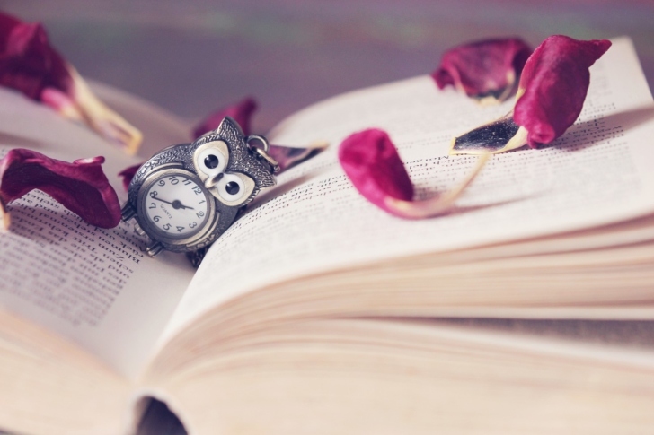 Das Vintage Owl Watch And Book Wallpaper