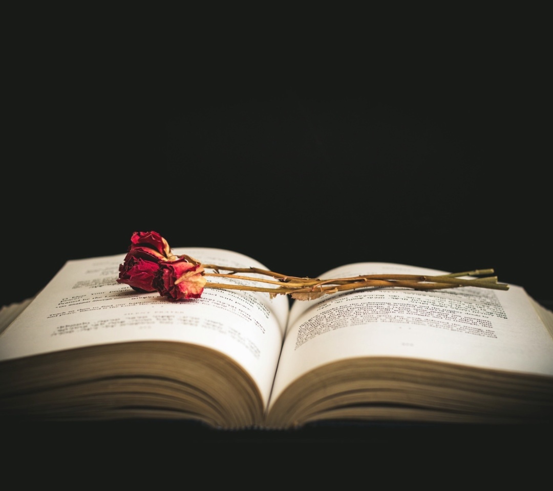 Rose and Book wallpaper 1080x960