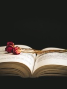 Rose and Book wallpaper 132x176