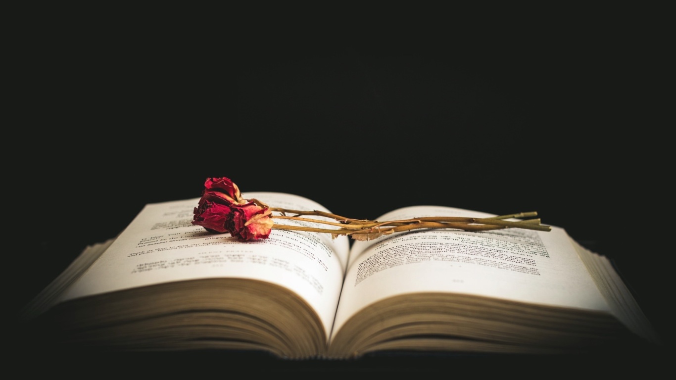 Rose and Book wallpaper 1366x768