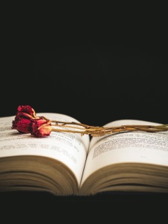 Rose and Book wallpaper 240x320