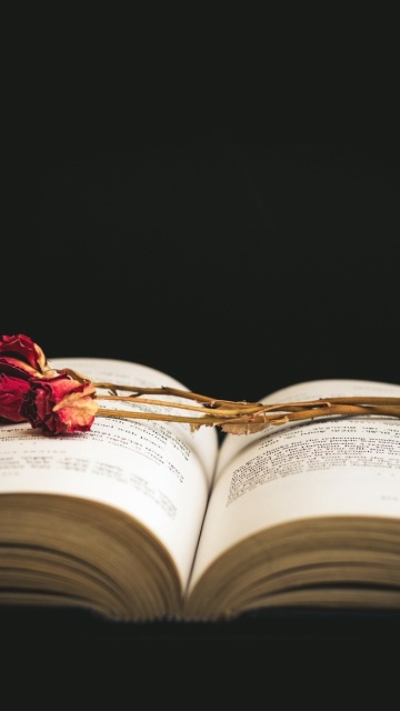 Rose and Book wallpaper 360x640