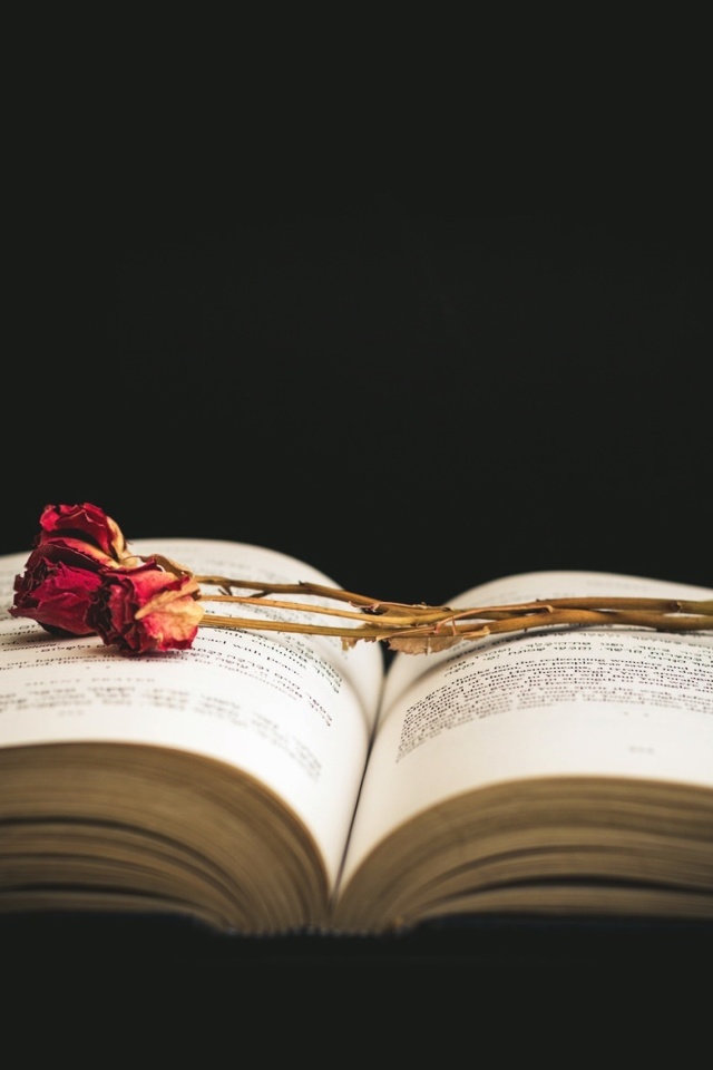 Rose and Book wallpaper 640x960
