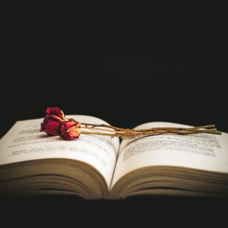 Kostenloses Rose and Book Wallpaper für 2048x2048