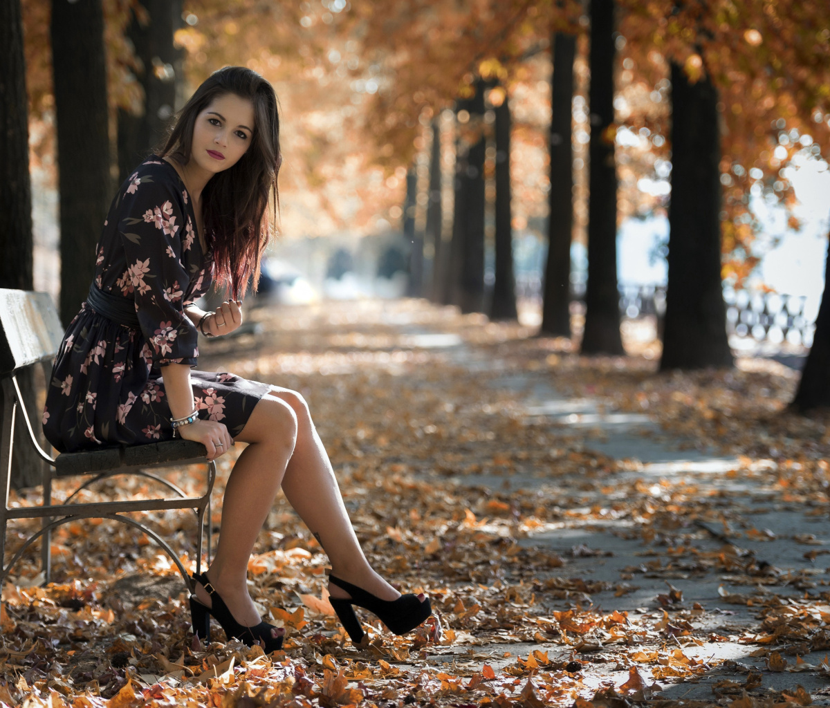 Fondo de pantalla Caucasian joy girl in autumn park 1200x1024