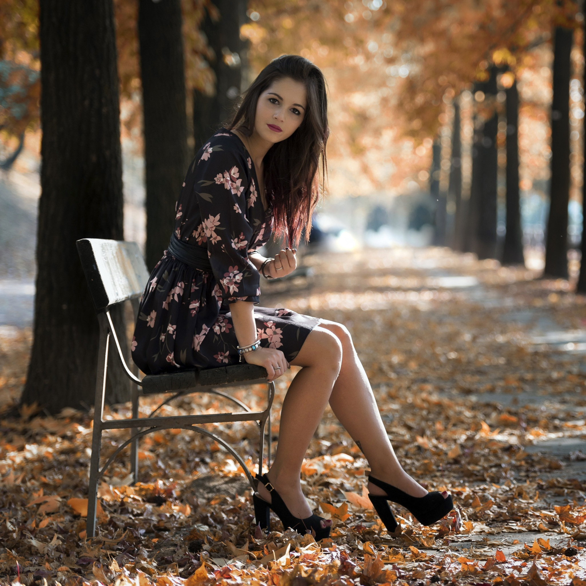 Обои Caucasian joy girl in autumn park 2048x2048