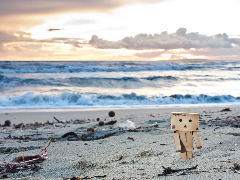 Danbo On The Beach wallpaper 1024x768