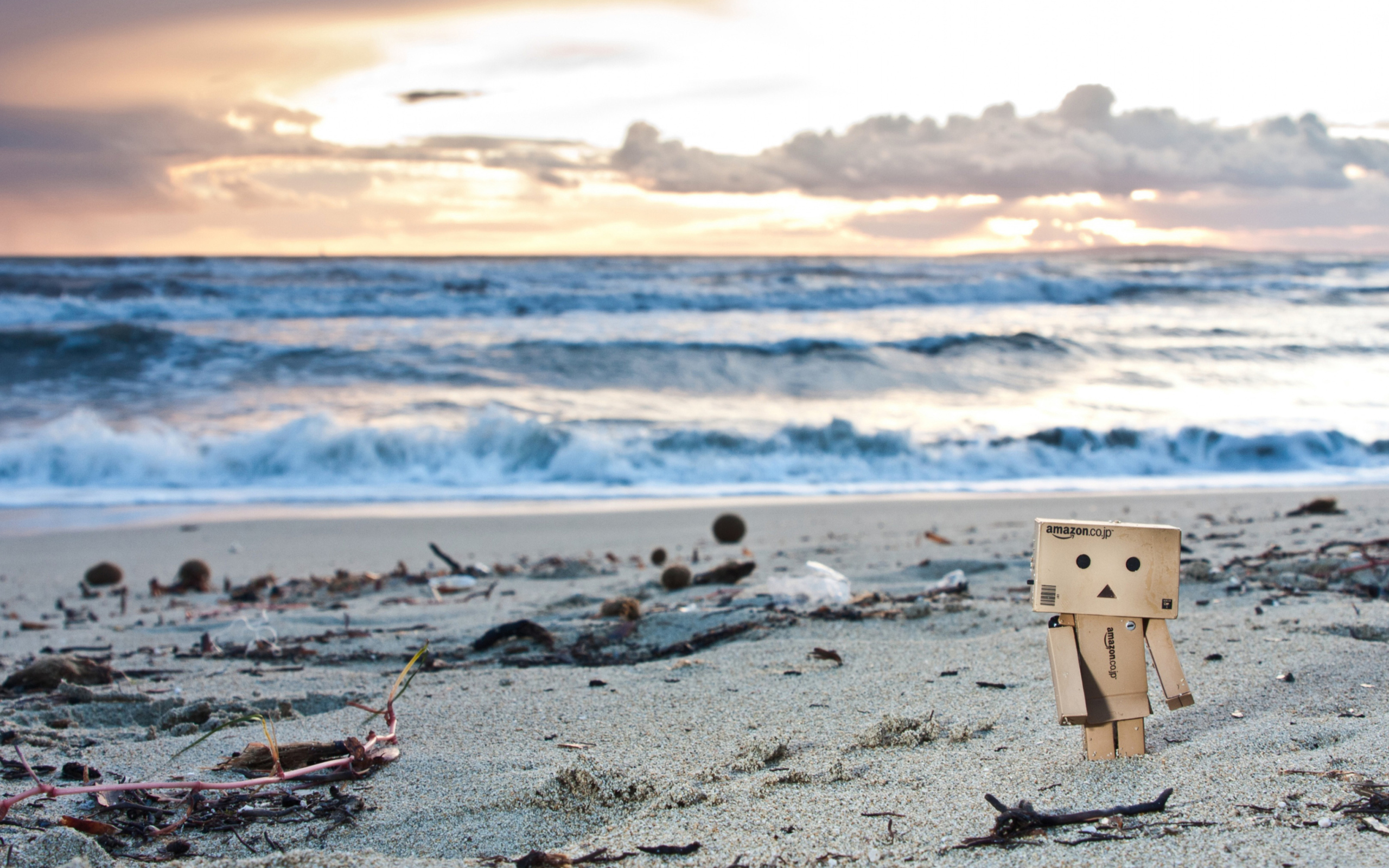 Das Danbo On The Beach Wallpaper 2560x1600