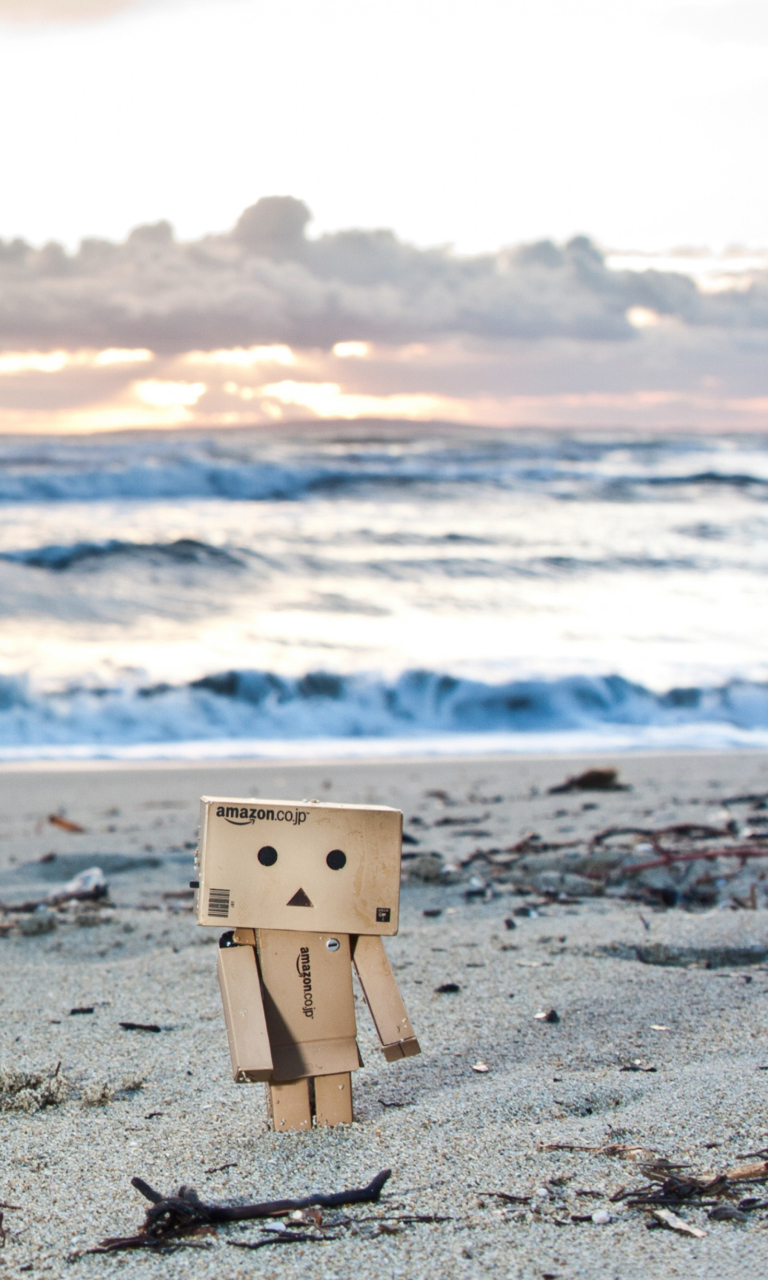 Обои Danbo On The Beach 768x1280