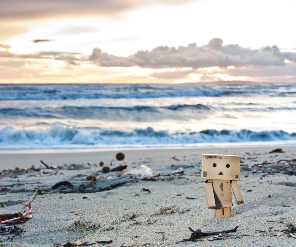 Обои Danbo On The Beach 960x800